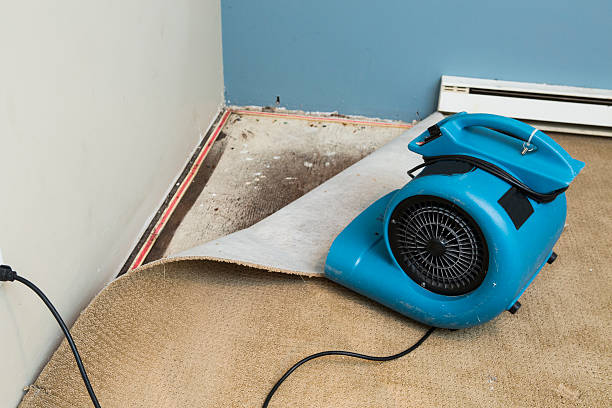 Best Flood restoration services  in Franklin, NC